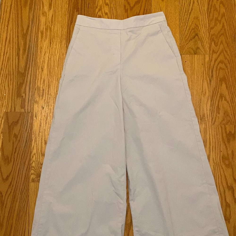 Aritzia Babaton Wide-Leg Pant